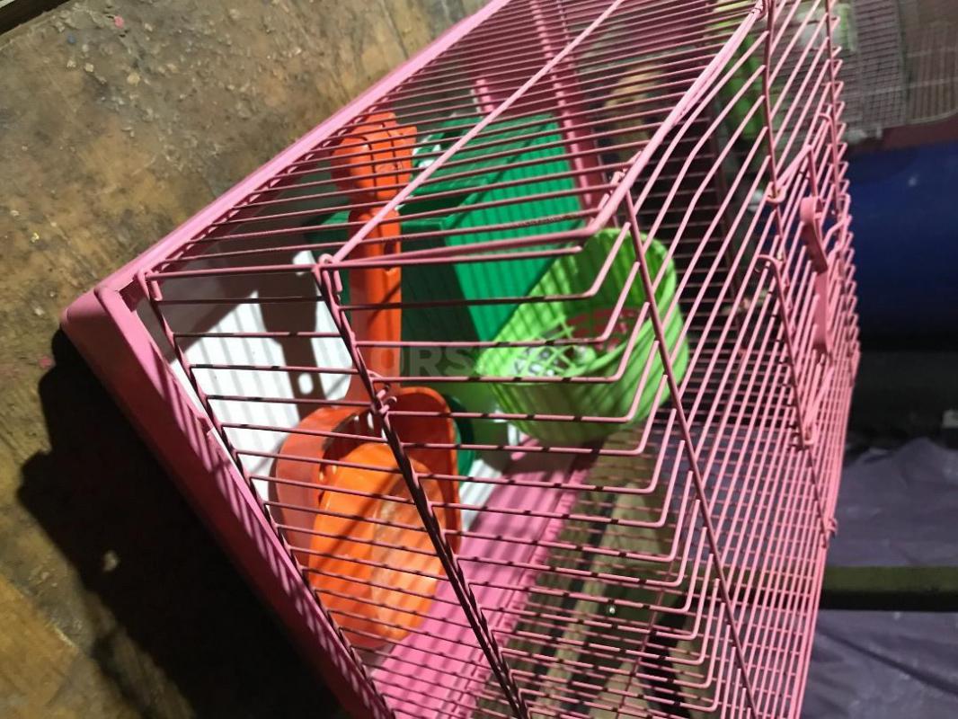 Клетка для мелкого грызуна. (хомяка и т. - Орск