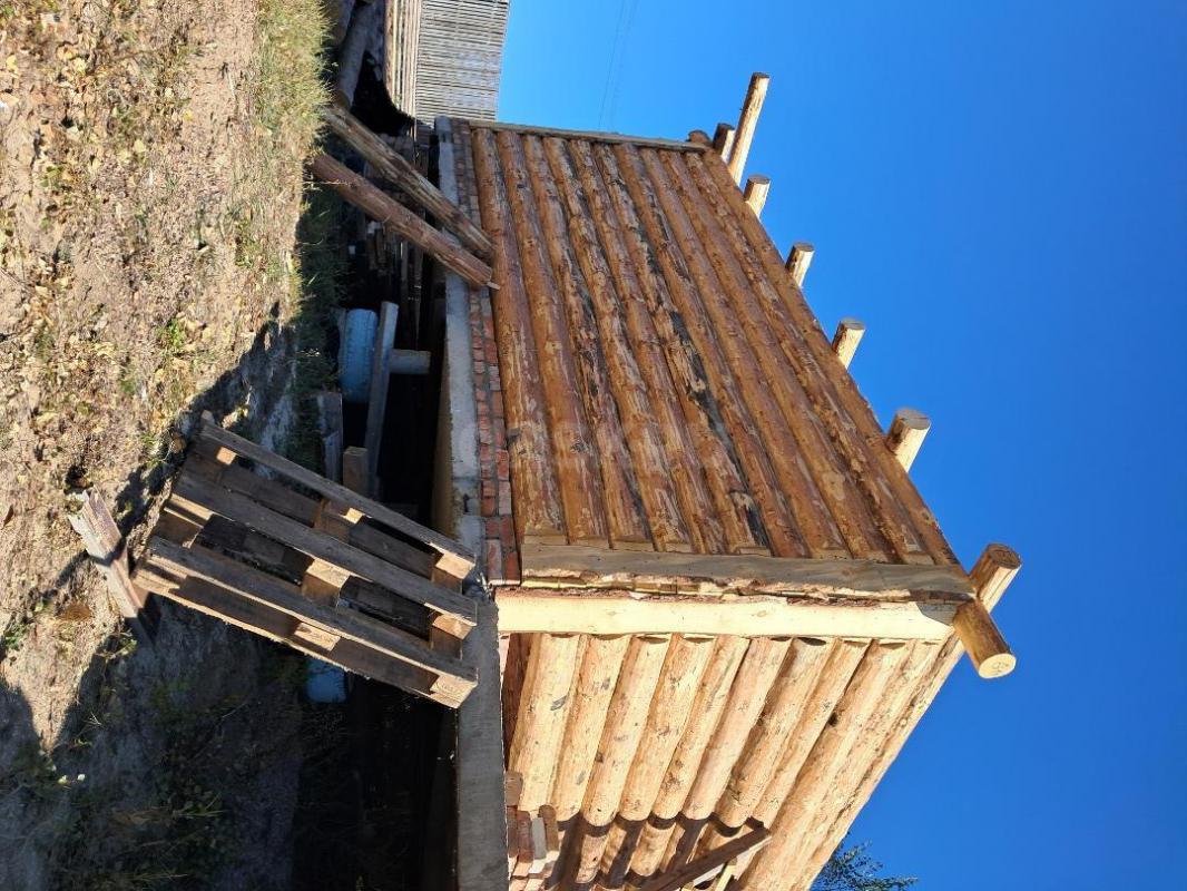 Срубы из сосны любых размеров под заказ. - Орск