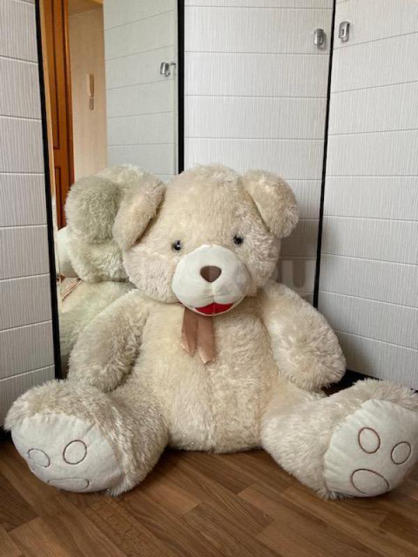 продам медведя - Орск