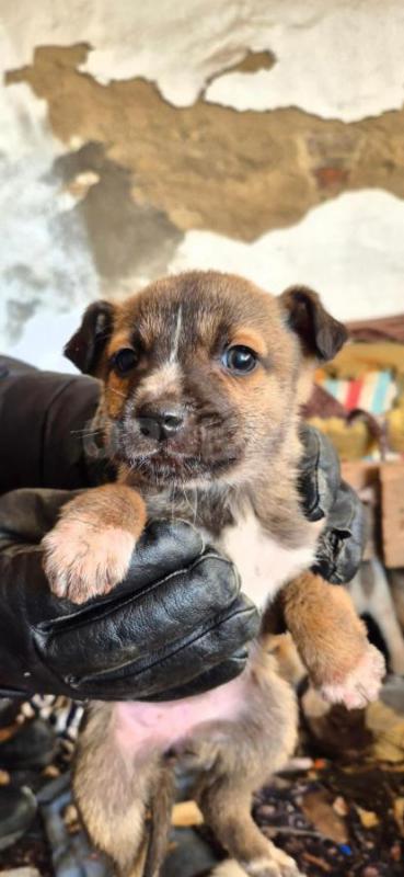 Орск, Новотроицк, Гай и другие населённые пункты, Земляки ! - Орск
