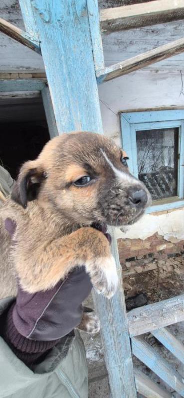 Орск, Новотроицк, Гай и другие населённые пункты, Земляки ! - Орск