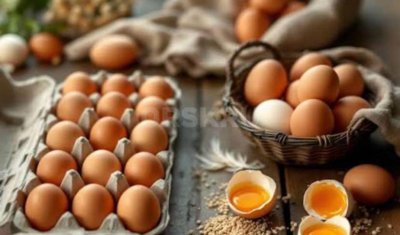 Домашнее куриное яйцо свежее ! - Орск