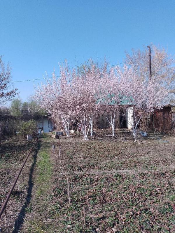 продам сад,район пл. - Орск