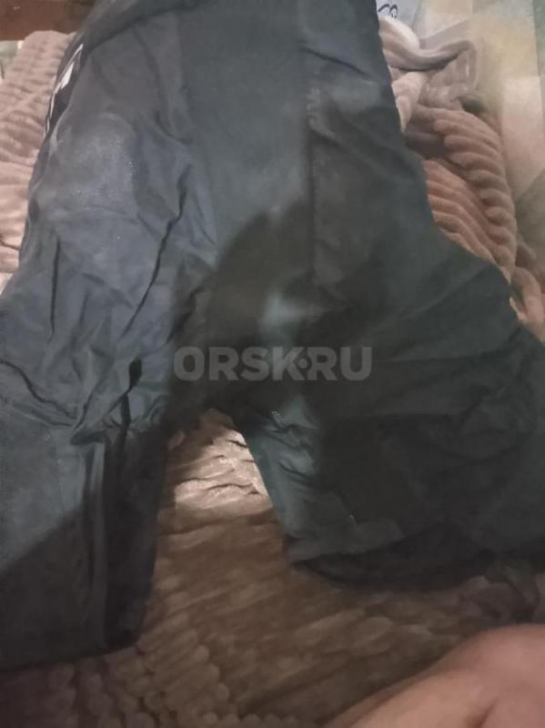 Продам хоккейные шорты, в идеальном состоянии, одевались один раз - Орск