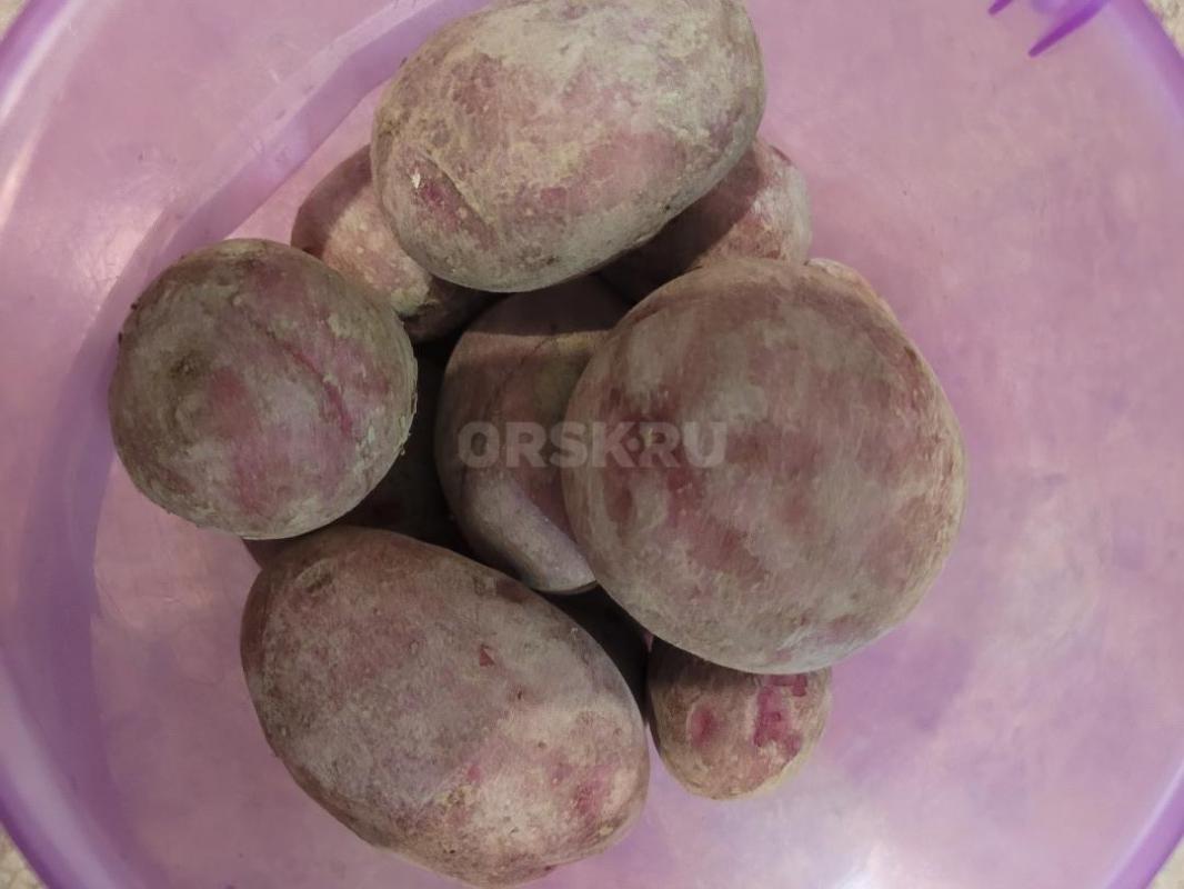 продам картофель домашний вкусный возможна доставка 60р 1 кг - Орск