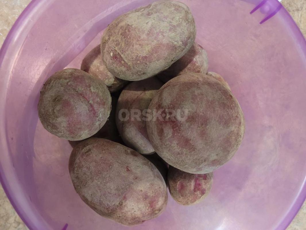 продам картофель домашний вкусный возможна доставка 60р 1 кг - Орск