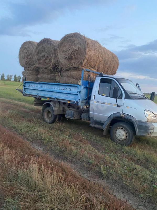 Продам сено 2024 года! - Орск