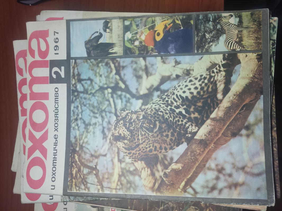 продам  журнал охота - Новотроицк