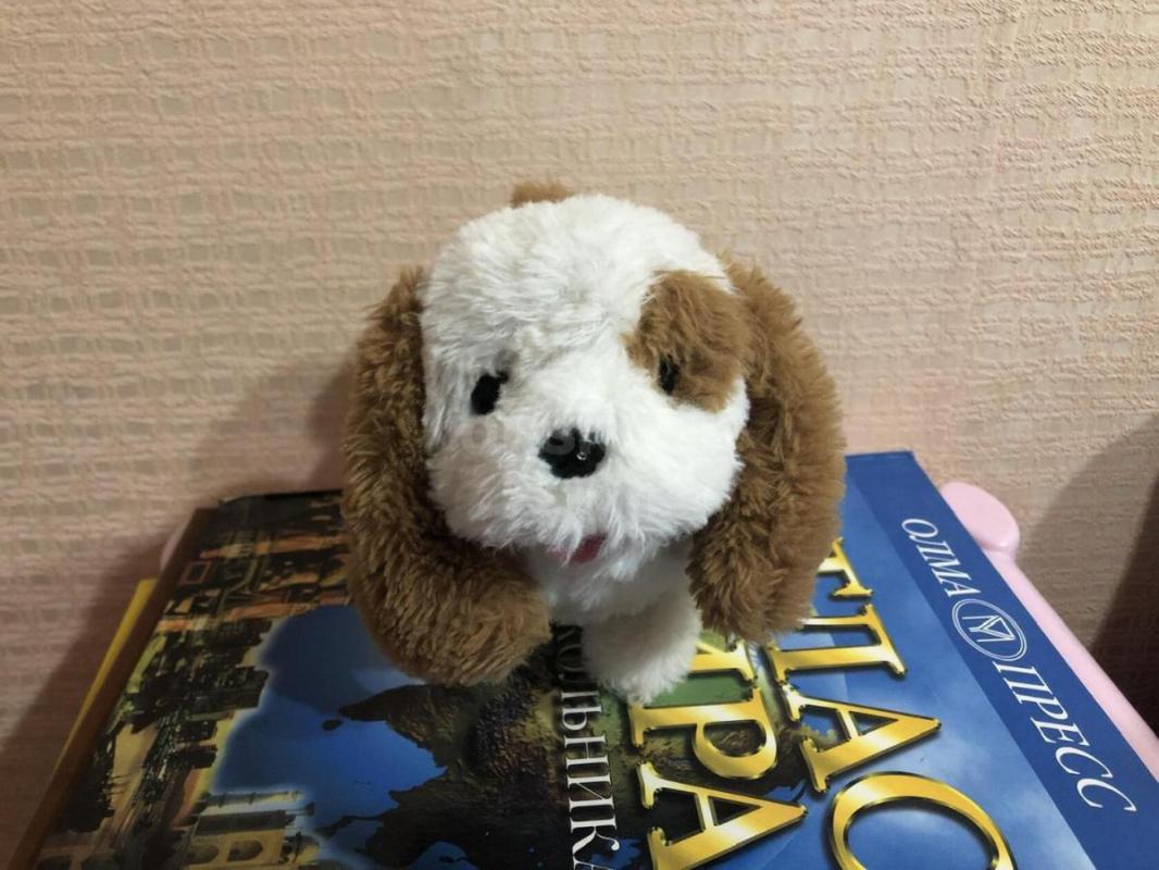 Собачка ходит и лает, фербер из пайеток, меняет цвет с синего на красный, лабиринт, головоломка, все - Орск