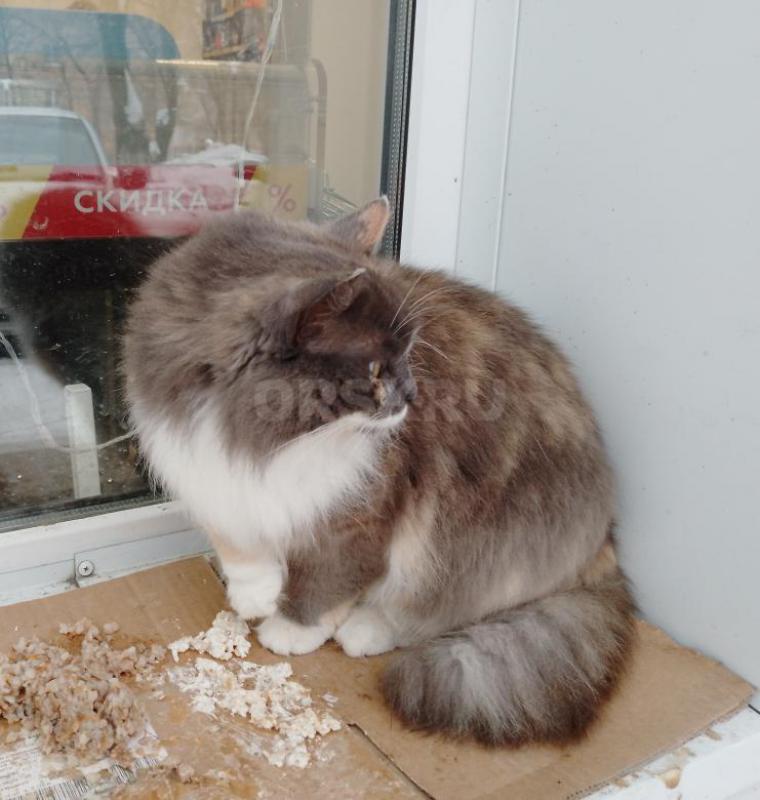 Девочка, молодая, прекрасна внешне и характером. - Орск