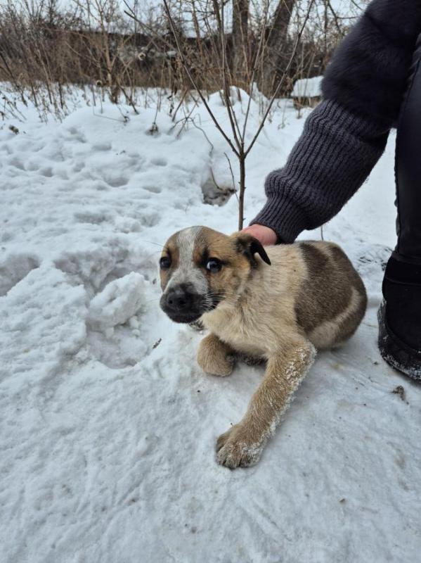 Орск, Новотроицк, Гай, Земляки ! - Орск