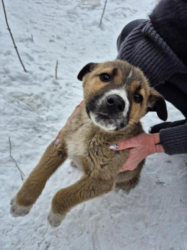 Орск, Новотроицк, Гай, Земляки ! - Орск