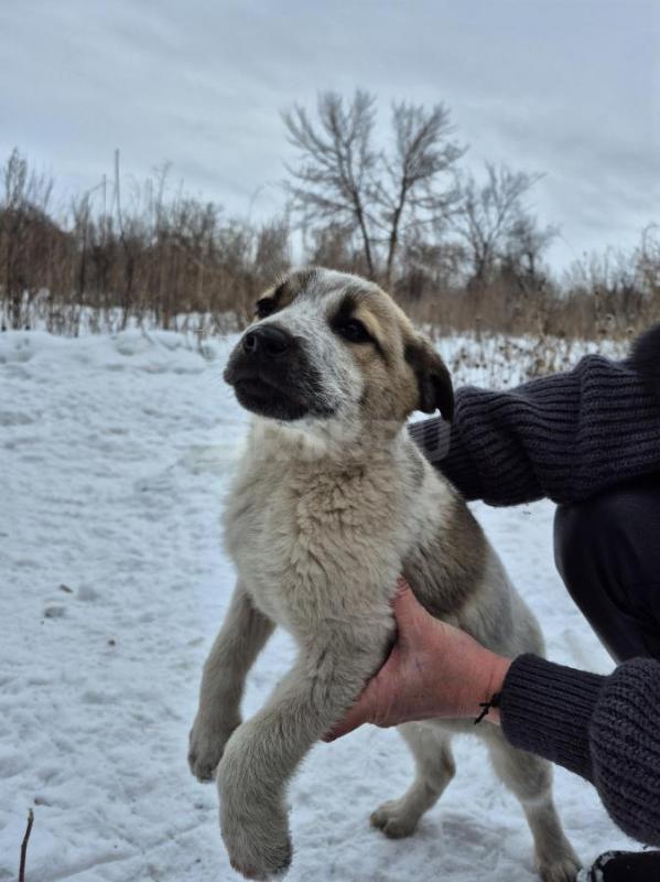 Орск, Новотроицк, Гай, Земляки ! - Орск