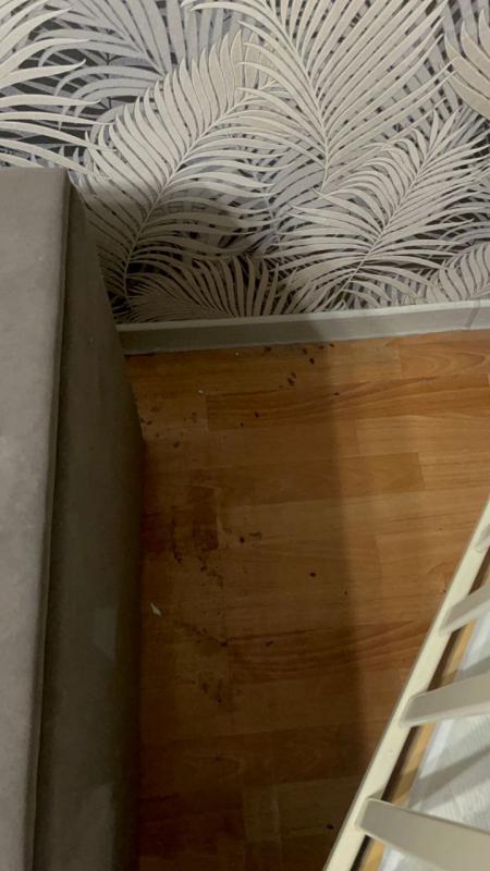 Уничтожение Насекомых.

🪳 Уничтожение тараканов
🛏 Уничтожение клопов
🐜 Муравьи и другие насекомы - Новотроицк