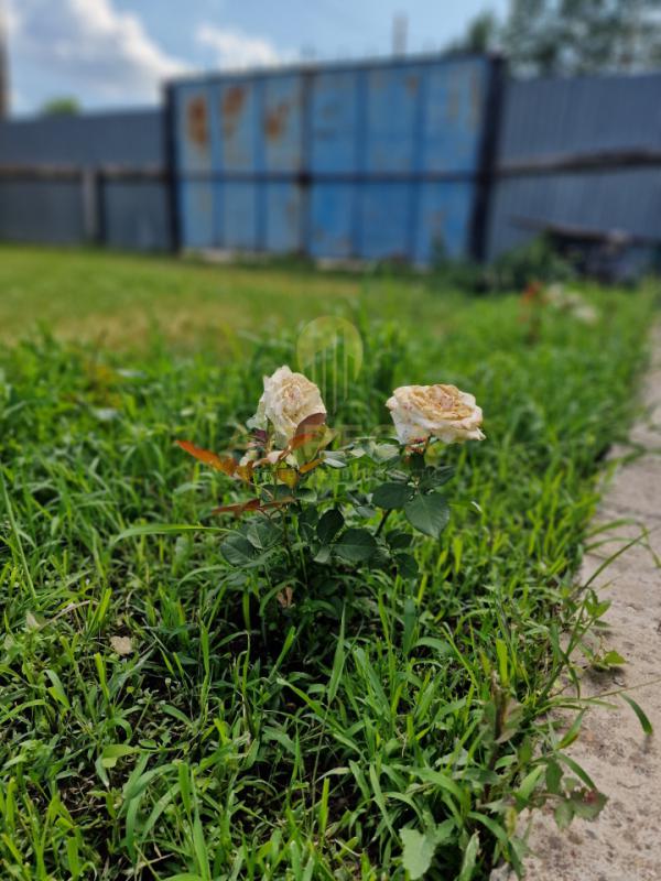 Продаётся дом с земельным участком, всё в собственности, по документам квартира ,общей площадью 75,9 - Краснохолм