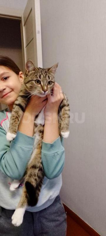 Девочке 9 месяцев, сейчас эта жизнерадостный ребенок. - Орск