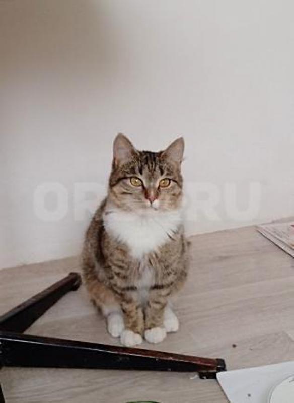 Девочке 9 месяцев, сейчас эта жизнерадостный ребенок. - Орск