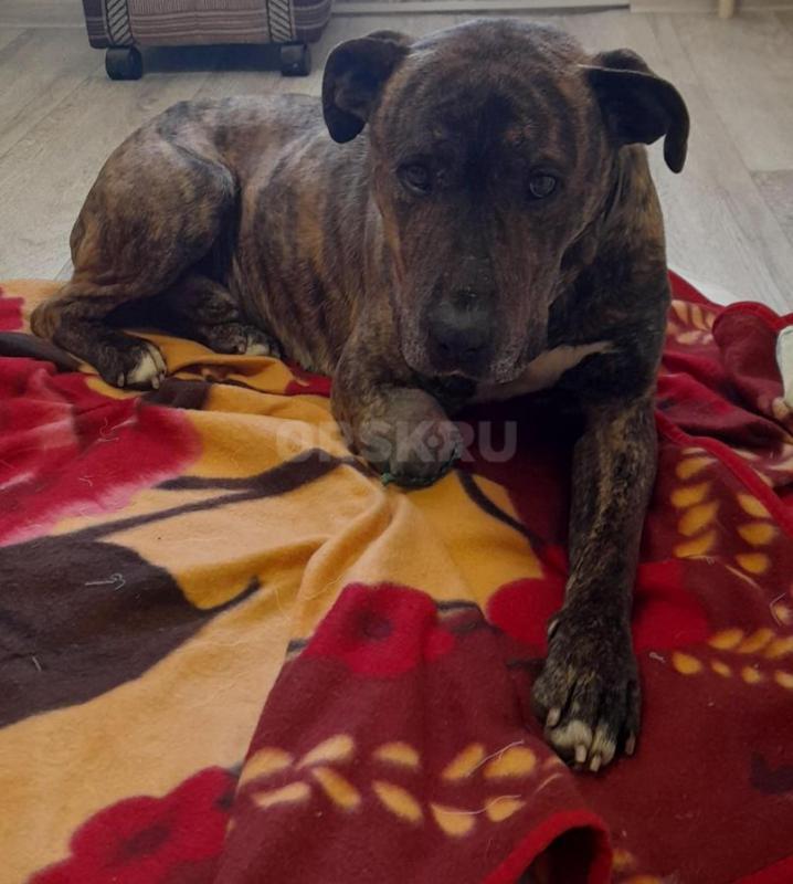 18.02.2026г в п. - Орск