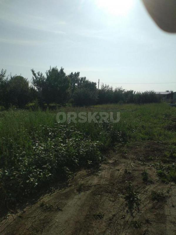Продам сад 6,5 соток СНТ ОНОС (КЕДР, Елшанка). - Орск