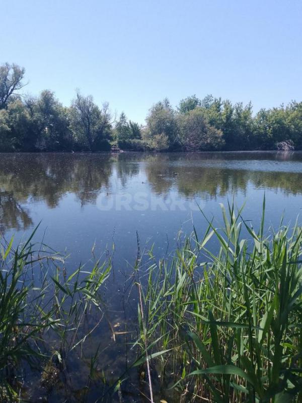 продам сад,район пл. - Орск