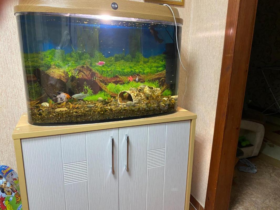 продам аквариум с рыбками, В ОТЛИЧНОМ СОСТОЯНИИ, тумба в подарок
ширина аквариума - 33 см,  длина 8 - Орск