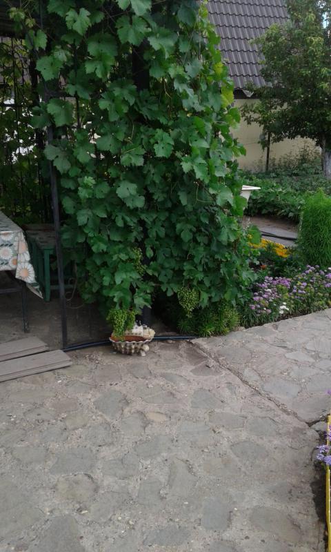 Продаётся дом S=78,2м2 с центральной канализацией. - 