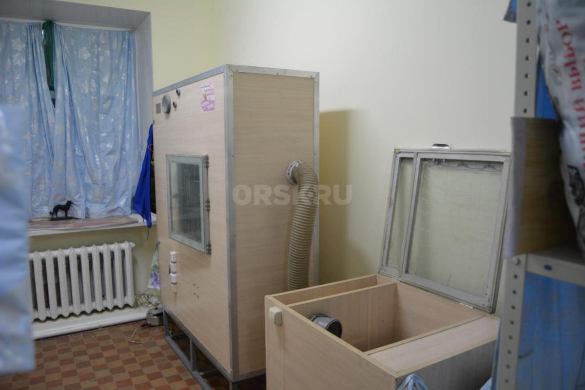 ЧИСТКА, РЕСТАВРАЦИЯ ПОДУШЕК, ИЗГОТОВЛЕНИЕ ПОДУШЕК, ОДЕЯЛ ИЗ ГУСИНОГО ПУХА-ПЕРА. - Орск