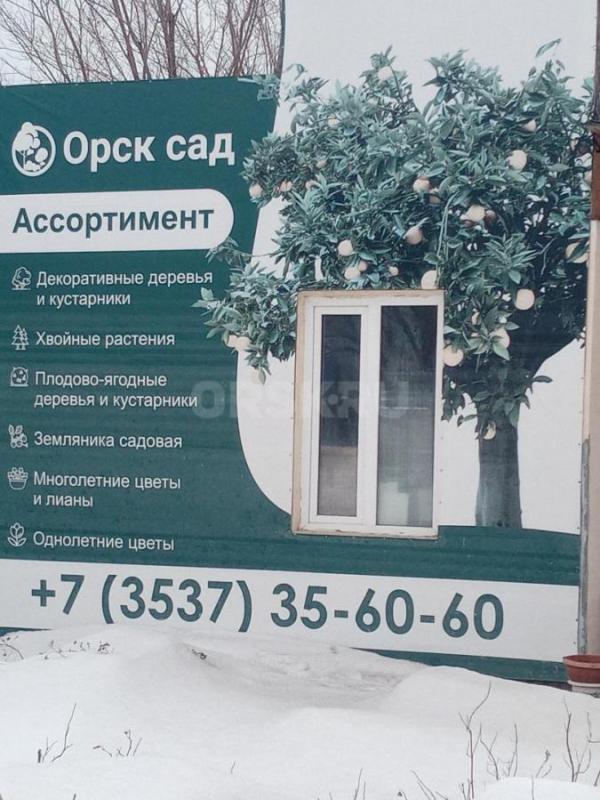 Требуются сотрудницы в питомник растений "ОрскСад". - Орск