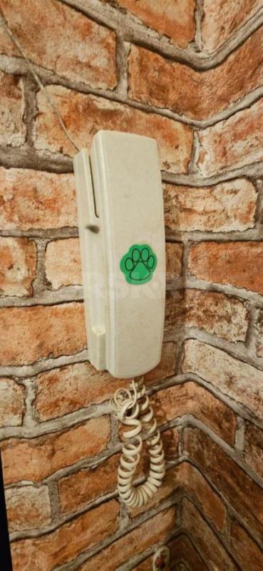 Сдам 1-комн. - Орск