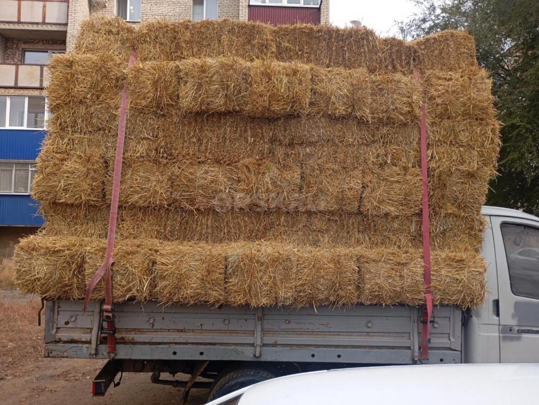 Продам солому в тюках 89877944045 - Орск