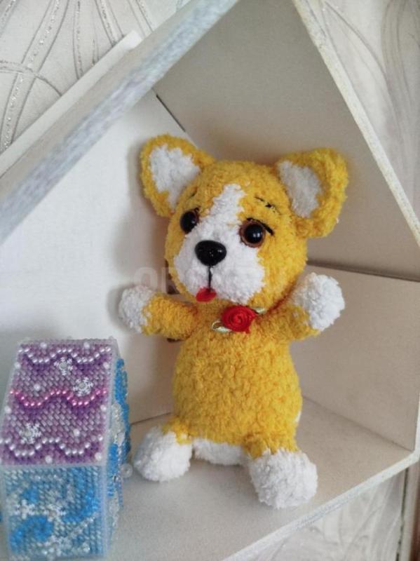 Забавный малыш ищет дом. - Орск