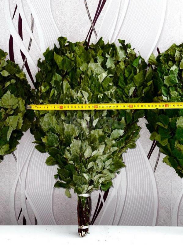 Продам банные веники дубовые и берёзовые сбор 2025 г высококого качества, веники собраны в экологиче - Орск