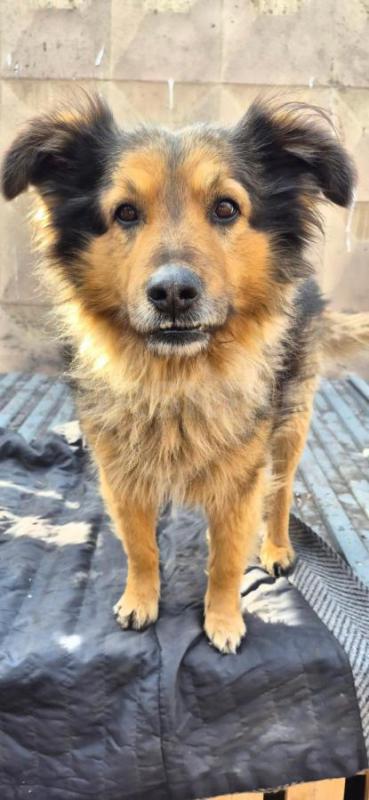 Орск ! - Орск