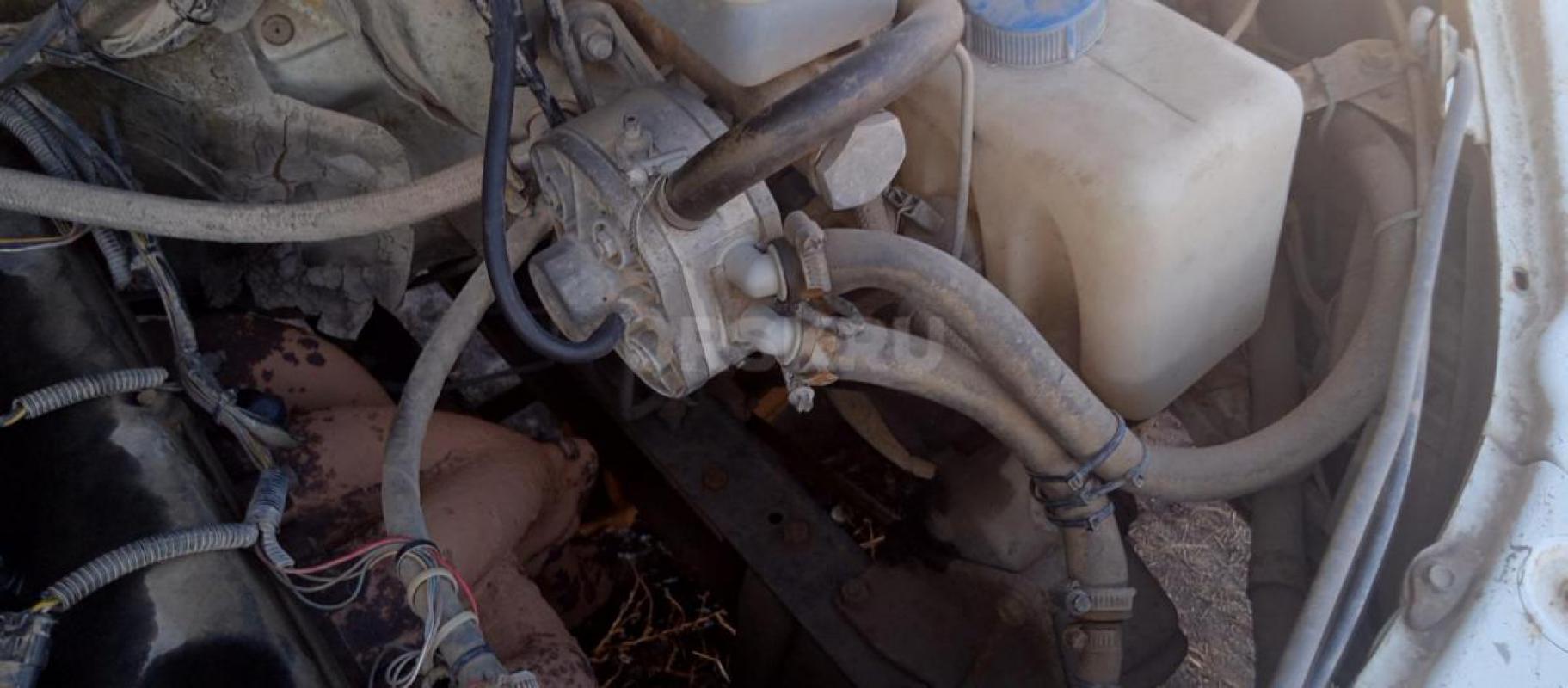 Породам газель фермер - Орск