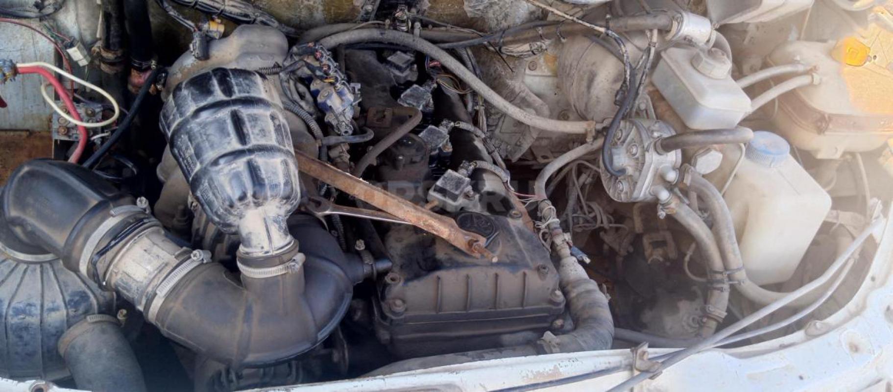 Породам газель фермер - Орск