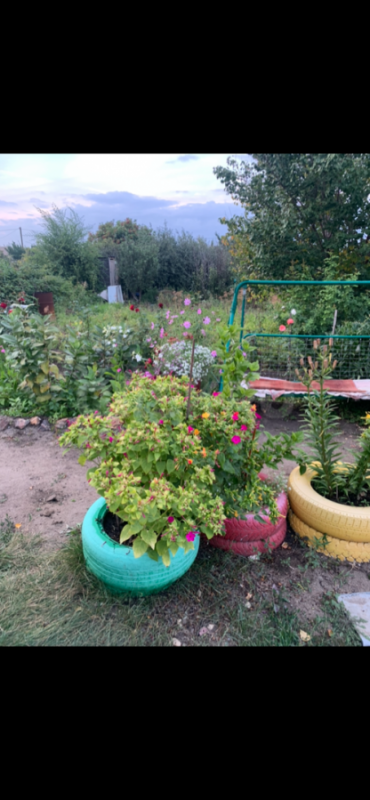 Продам садовый участок, район зеленхоза. - Орск