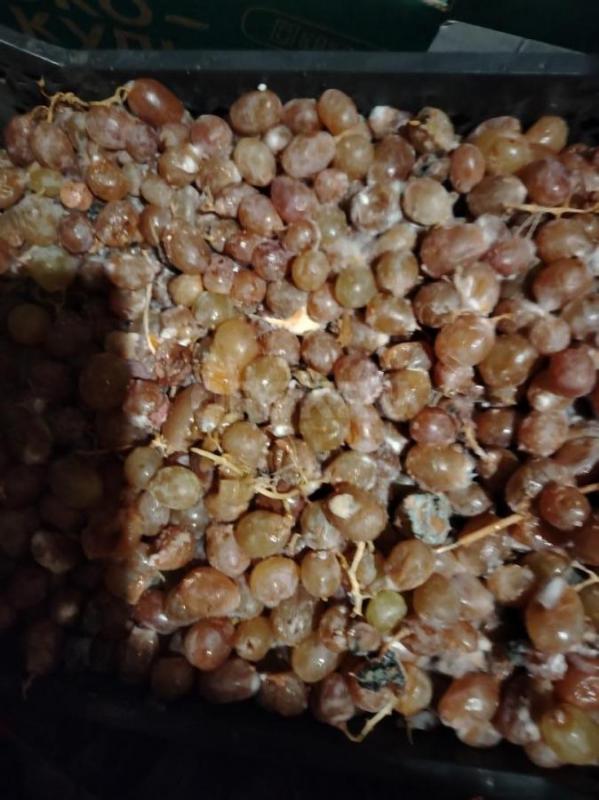 Пищевыи отходы - Орск