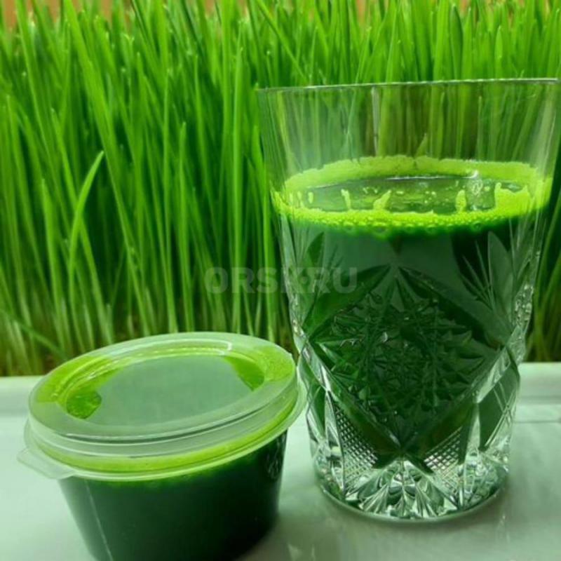 ВИТГРАСС - сок ростков пшеницы является хорошим источником макро и микроэлементов. - Орск