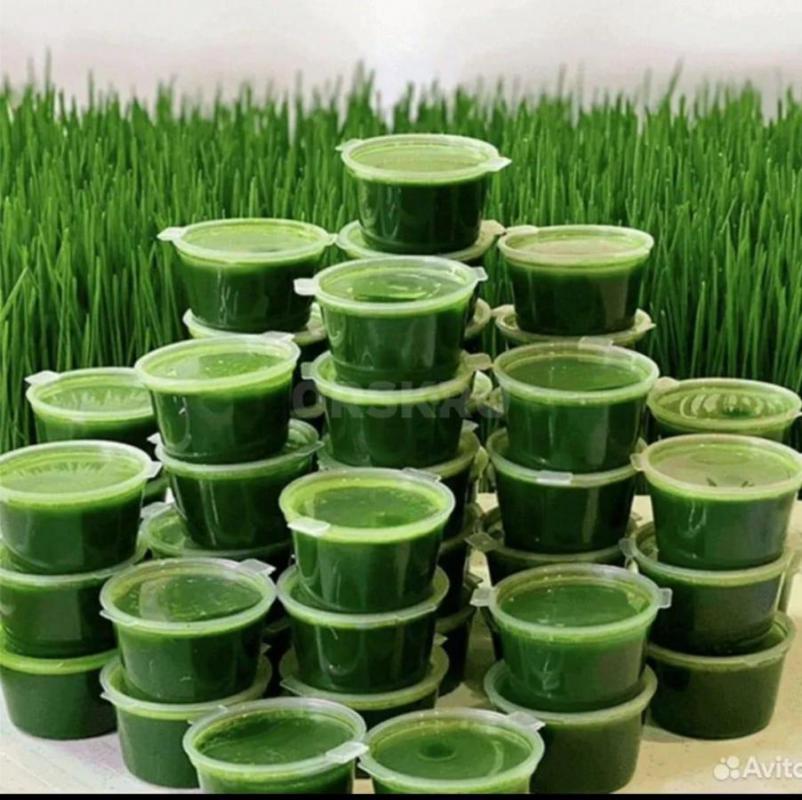 ВИТГРАСС - сок ростков пшеницы является хорошим источником макро и микроэлементов. - Орск