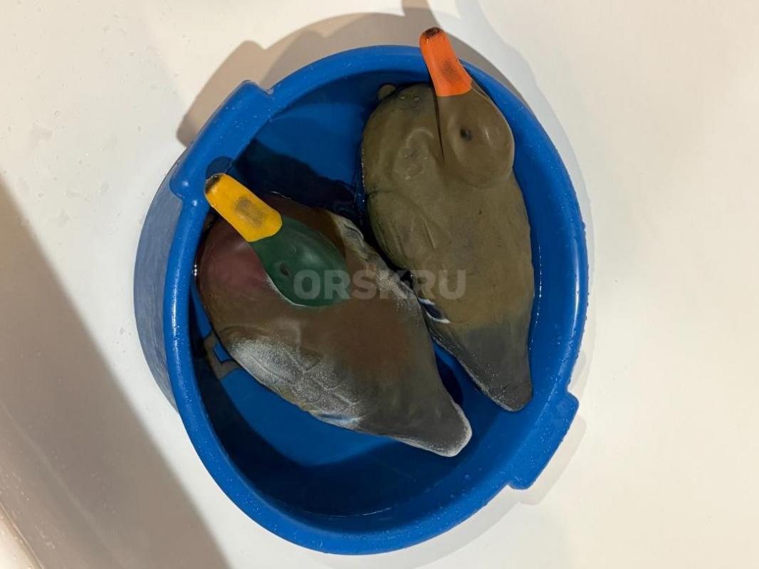 Продам чучела плавающих уток с грузами
- Резиновые, сминающиеся (17 шт.)
- DEEKS Резиновые &qu - Орск