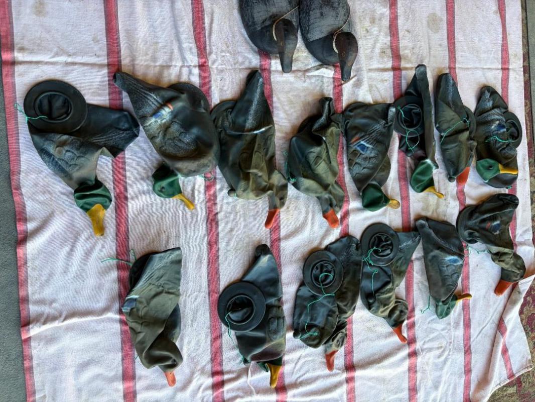 Продам чучела плавающих уток с грузами
- Резиновые, сминающиеся (17 шт.)
- DEEKS Резиновые &qu - Орск