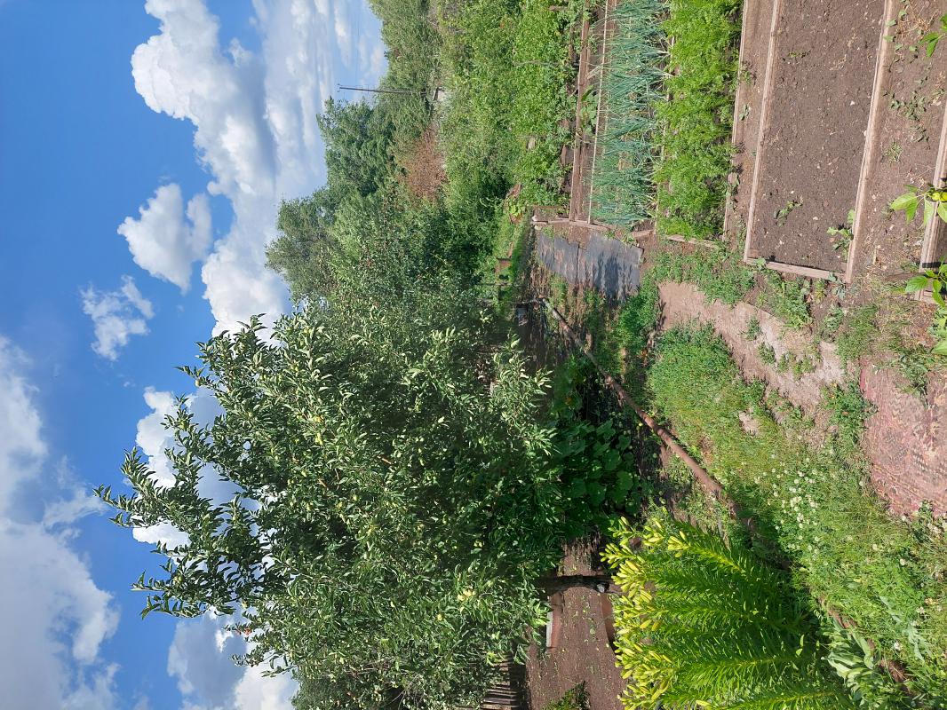 Продаётся сад. 29 сады, 1 улица, между 5 и 6 остановками. 7,5 соток. - Новотроицк