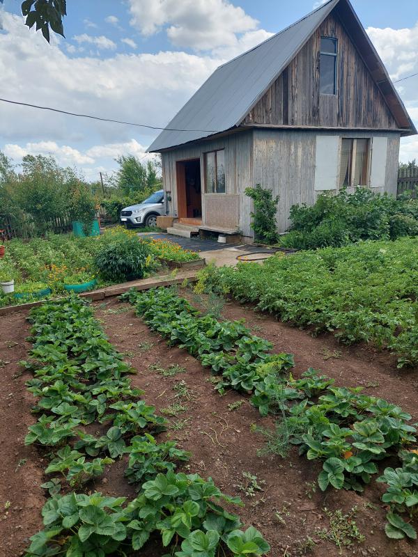 Продаётся сад. 29 сады, 1 улица, между 5 и 6 остановками. 7,5 соток. - Новотроицк