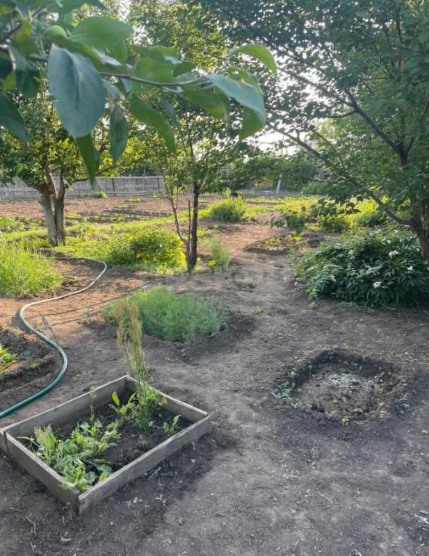 Очень плодородный, просторный сад. - Орск