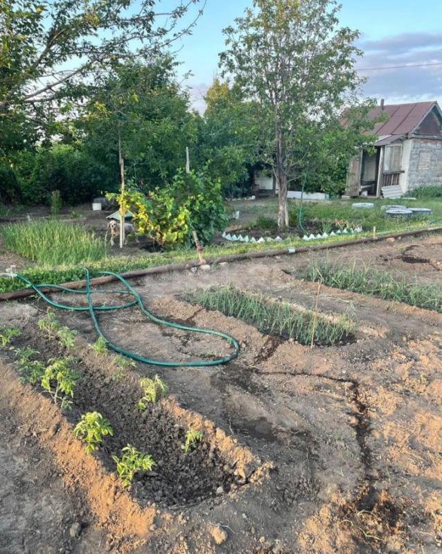 Очень плодородный, просторный сад. - Орск