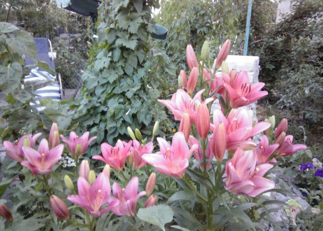 Продам (в связи с переездом)теплый благоустроенный дом на Северном по ул. - 