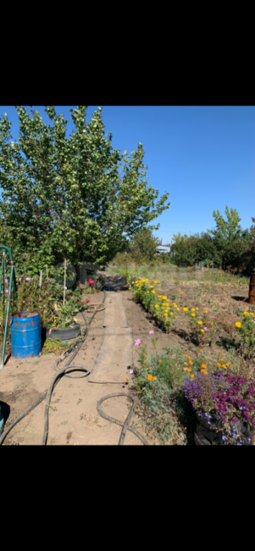 Продаётся сад. - Орск