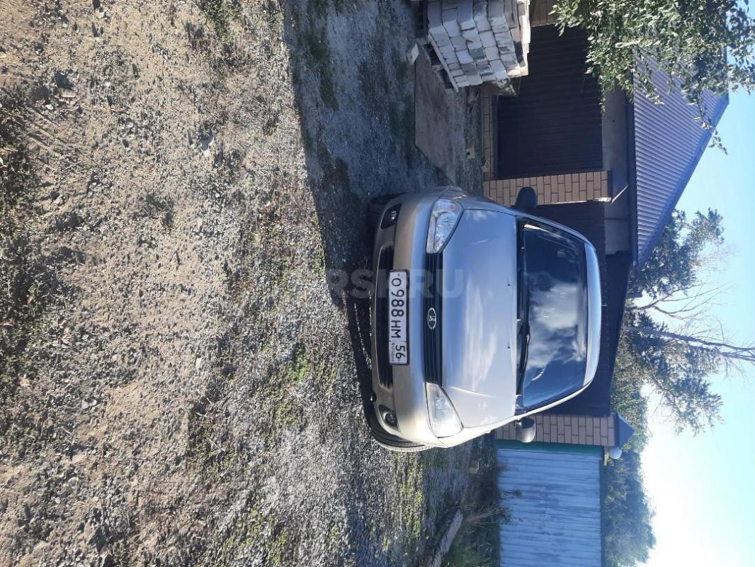 Калина в хорошем состоянии доя своих лет. - Орск