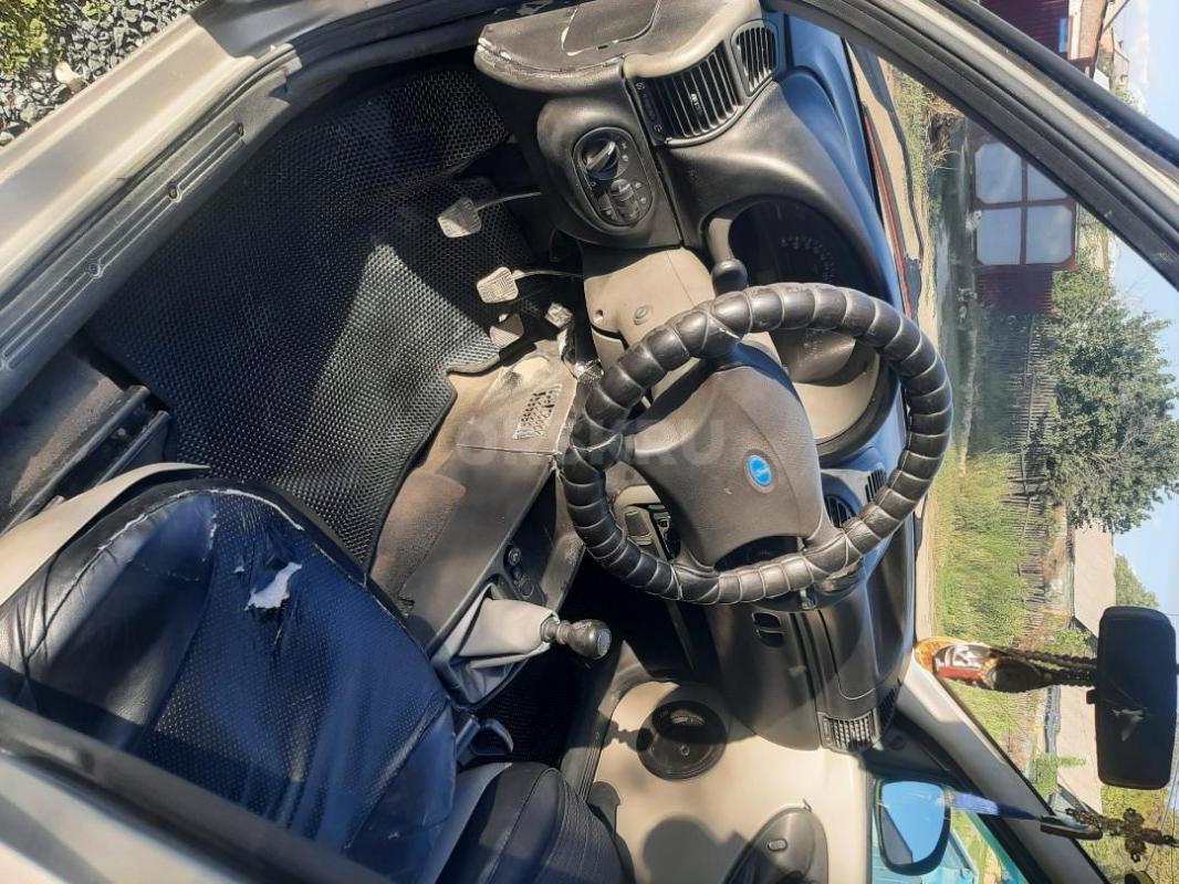 Калина в хорошем состоянии доя своих лет. - Орск