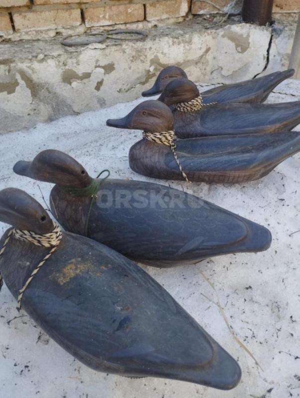 Продам чучела уток б/у по 150 р/шт , новые по 300 р/шт . - Орск